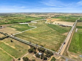 Pannoo Road & Johnson Road Lockington VIC 3563 - Image 1