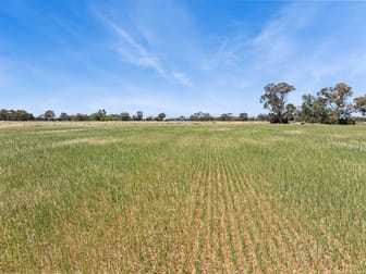 Pannoo Road & Johnson Road Lockington VIC 3563 - Image 2