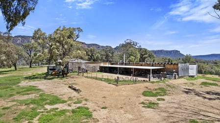 88 Mortimers Road Glen Davis NSW 2846 - Image 2