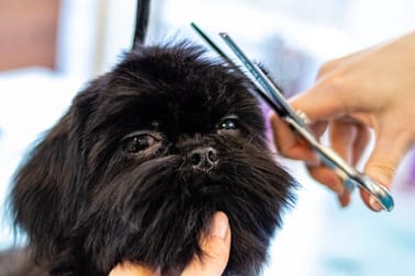 Animal Related  business for sale in NSW - Image 2