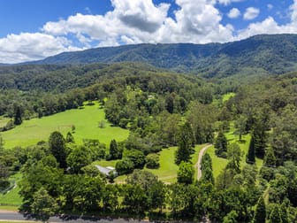 650 Darkwood Road Thora NSW 2454 - Image 2
