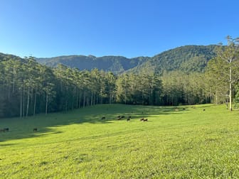 650 Darkwood Road Thora NSW 2454 - Image 3