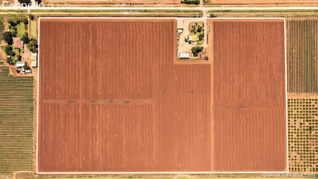 133 Rodgers Road Yenda NSW 2681 - Image 3