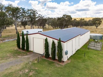 20 Trainview Street Woolbrook NSW 2354 - Image 3