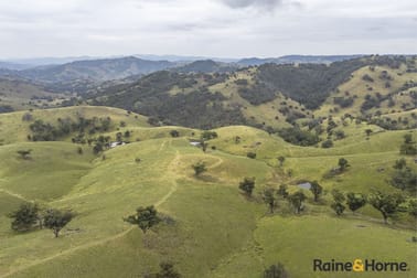 2340 Campfire Road Walcha NSW 2354 - Image 2