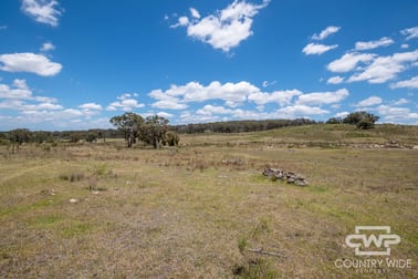 95, 2202 Wellington Vale Road Emmaville NSW 2371 - Image 2
