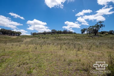 95, 2202 Wellington Vale Road Emmaville NSW 2371 - Image 3