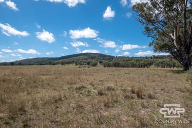 623 & 624, 2202 Wellington Vale Road Emmaville NSW 2371 - Image 3