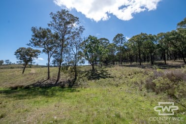52, 2202 Wellington Vale Road Emmaville NSW 2371 - Image 2