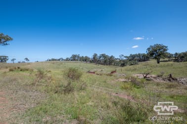 52, 2202 Wellington Vale Road Emmaville NSW 2371 - Image 3