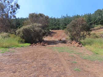 Lot 83 East Nannup Road East Nannup WA 6275 - Image 2