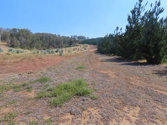 378 East Nannup Road East Nannup WA 6275 - Image 3
