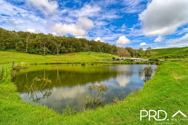 532 Pines Road Edenville NSW 2474 - Image 2
