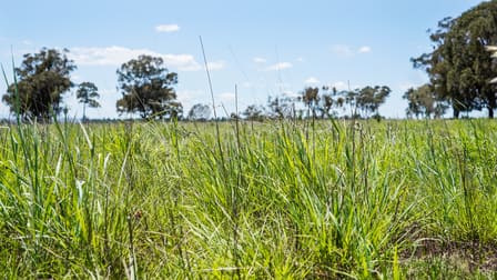 89 Bourke And Halls South Road Binnaway NSW 2395 - Image 2