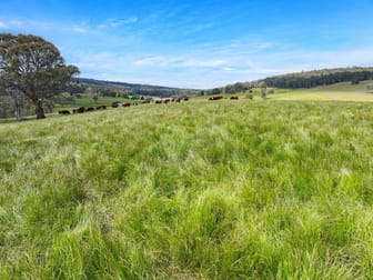 1026 Lower Bendoc Road Bendoc VIC 3888 - Image 1