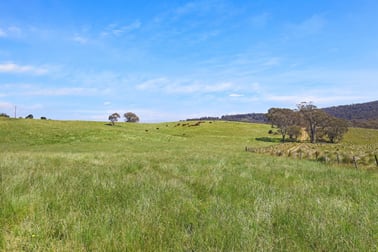 1026 Lower Bendoc Road Bendoc VIC 3888 - Image 3