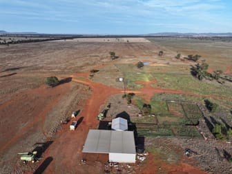 'Greenleigh', 3528 Tuggerabach Road Lake Cargelligo NSW 2672 - Image 3