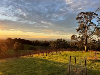 504 Warragul-Leongatha Road Seaview VIC 3821 - Image 2