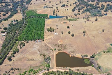 43 Hearle Road Mumballup WA 6225 - Image 1