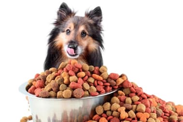 Animal Related  business for sale in Mount Waverley - Image 1