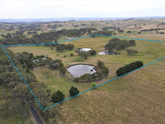 "Abbyville" 90 Convent Lane Borenore NSW 2800 - Image 2