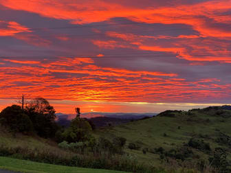 616 South West Road Beechmont QLD 4211 - Image 3