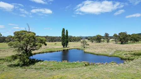374 Ivers Forest Road Chatham Valley NSW 2787 - Image 3