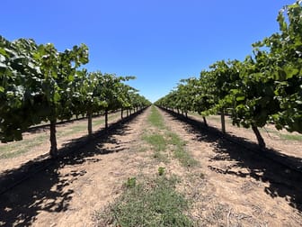 229 Savage Road Bilbul NSW 2680 - Image 3