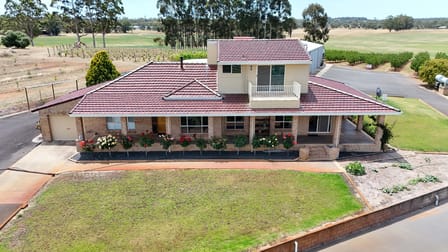 25 Richmond Street (Ringbark) Manjimup WA 6258 - Image 1