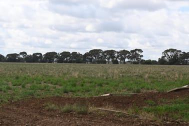 437 Pyramid - Yarraberb Road Calivil VIC 3573 - Image 2