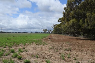 437 Pyramid - Yarraberb Road Calivil VIC 3573 - Image 3