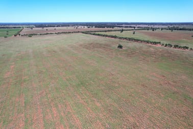 371 Blue Letterbox Lane Tullamore NSW 2874 - Image 1