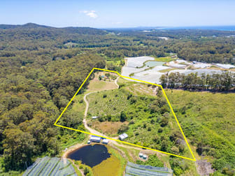 40A Freemans Road Woolgoolga NSW 2456 - Image 3