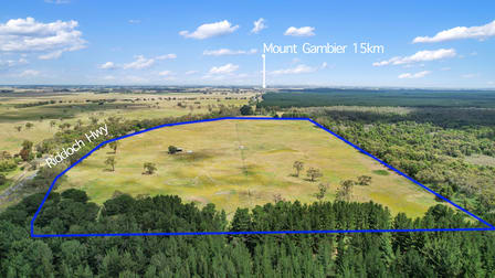 Lot 459 Riddoch Hwy Dismal Swamp SA 5291 - Image 1