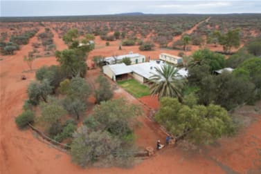 Polelle Station Great Northern Highway Meekatharra WA 6642 - Image 2
