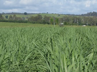 Skyring Reserve QLD 4671 - Image 1