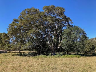 363 Middle Pocket Road Middle Pocket NSW 2483 - Image 1