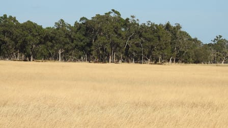 Lot 2339 Cnr Edwards & Doyle Road (Ambergate) Busselton WA 6280 - Image 2