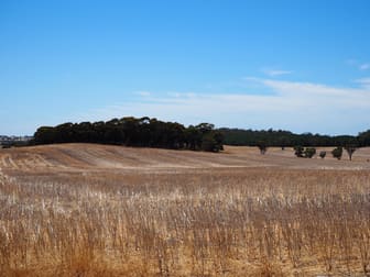 Glenrock Frankland-Cranbrook Road Cranbrook WA 6321 - Image 1