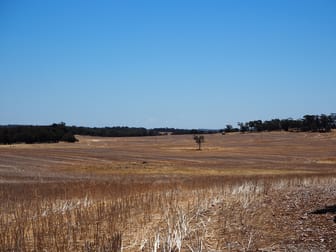 Glenrock Frankland-Cranbrook Road Cranbrook WA 6321 - Image 2