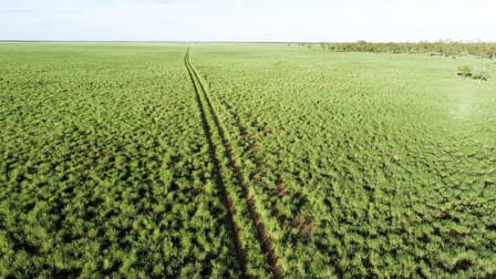 'North Harriman' Balonne Highway Cunnamulla QLD 4490 - Image 2