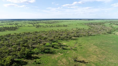 'North Harriman' Balonne Highway Cunnamulla QLD 4490 - Image 3