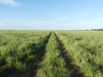 'North Harriman' Balonne Highway Cunnamulla QLD 4490 - Image 1