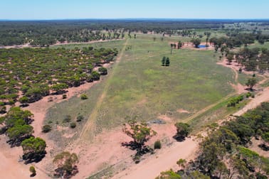 "Mottlecah" 1017 Wilga Ridge Road Fifield NSW 2875 - Image 2