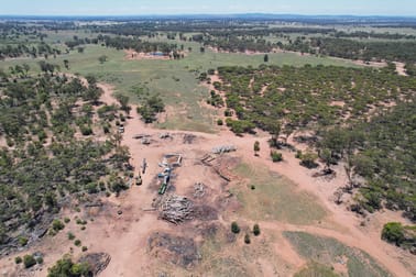 "Mottlecah" 1017 Wilga Ridge Road Fifield NSW 2875 - Image 3