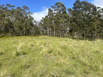 Lot 46 Nullo Mountain Road, via Rylstone/Kandos Rylstone NSW 2849 - Image 3