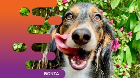 Animal Related  business for sale in Penrith - Image 1