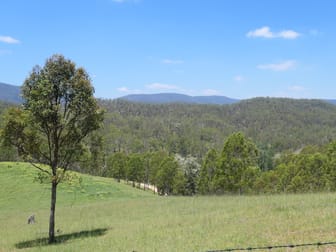 3/2806 Rocky River Road Rocky River NSW 2372 - Image 1