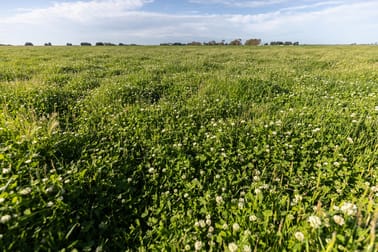 Click to view all images 25714 Princes Highway Millicent SA 5280 - Image 3