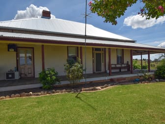 373 Milvale Road Young NSW 2594 - Image 1